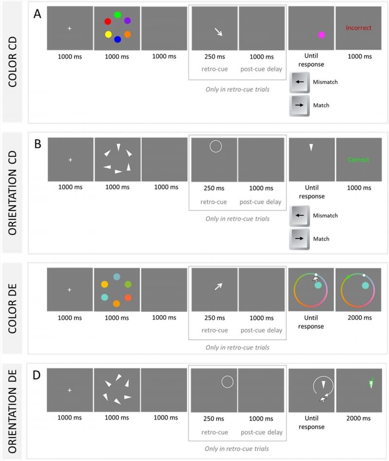 Memories in Pixels: What a Single Image Can Unravel