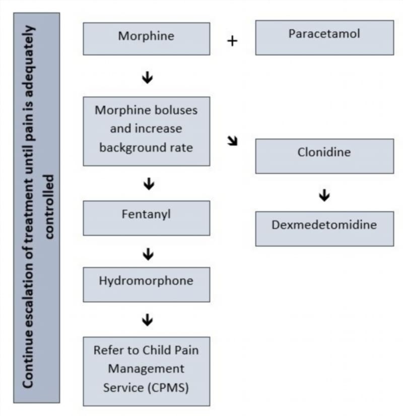 The Morphine Quandary: More than Just Pain Relief