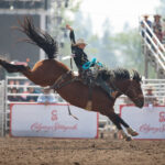 A Glimpse into Calgary's Stampede Midway Delights