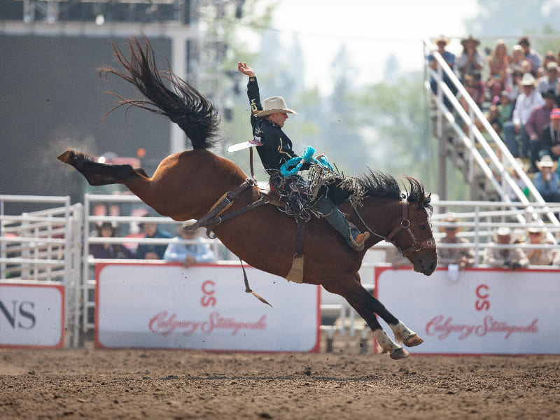 A Glimpse into Calgary's Stampede Midway Delights