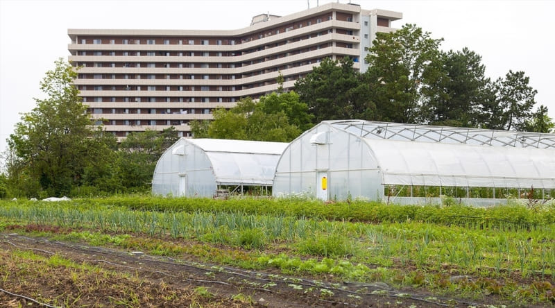 Agriculture Venture Takes Root in Toronto City