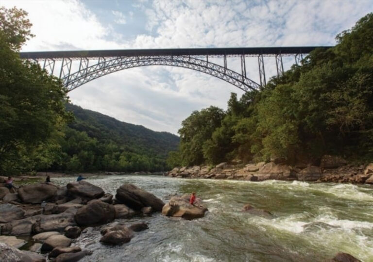 Exploring the Five Bridges Wilderness Area: A Heaven for ATVs, Not So Much for Moose